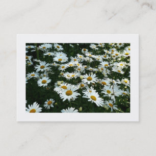 Daisies, mini-fotokaart visitekaartje