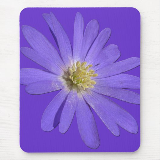 Daisies Mousepad Blue Flowers Computer Decor Muismat (Voorkant)