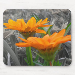 Daisies Mousepad Muismat