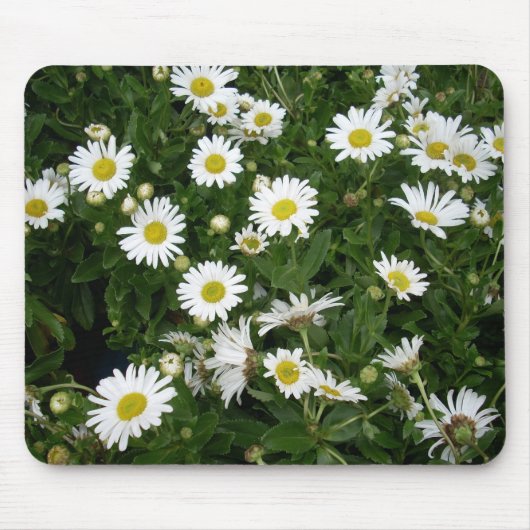 Daisies Muismat (Voorkant)