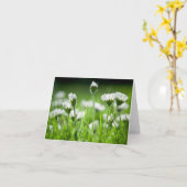 Daisies Note Kaart (Gele Bloem)