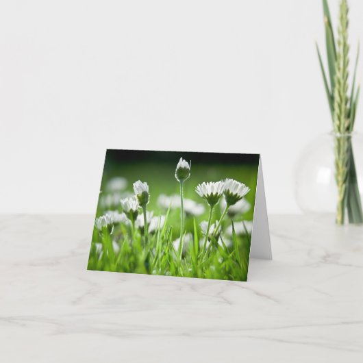 Daisies Note Kaart (Voorkant)