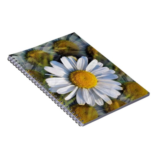 DAISIES NOTITIEBOEK (Rechterzijde)