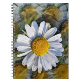 DAISIES NOTITIEBOEK (Voorkant)