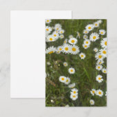Daisies Notitiekaartje (Voorkant / Achterkant)
