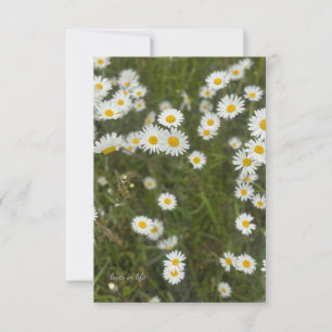 Daisies Notitiekaartje