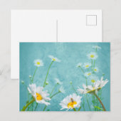 Daisies on a blue background briefkaart (Voorkant / Achterkant)