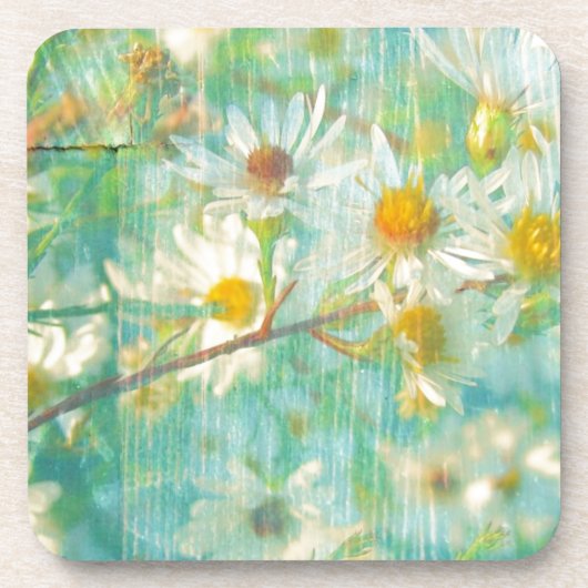 Daisies Onderzetter (Voorkant)