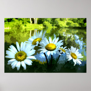 Daisies op de Pond Poster
