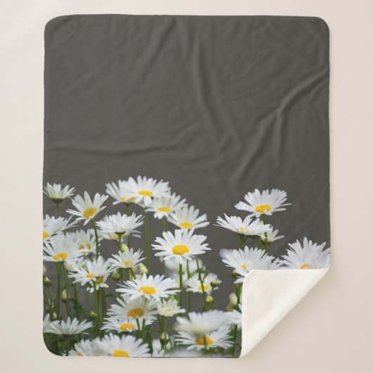 Daisies op Grey  Sherpa Deken (Voorkant)