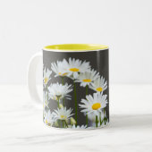 Daisies op Grey Tweekleurige Koffiemok (Voorkant links)