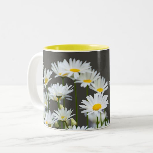 Daisies op Grey Tweekleurige Koffiemok (Voorkant links)