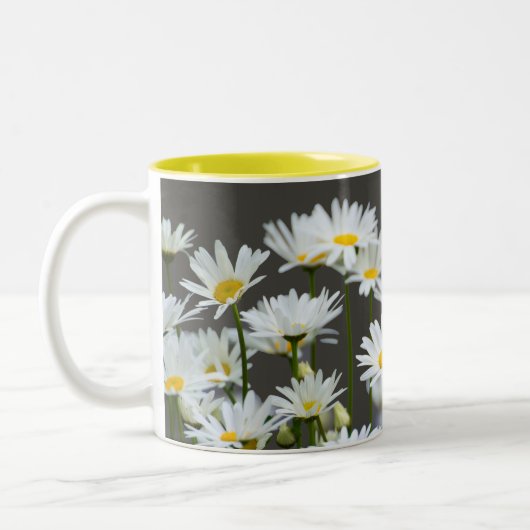 Daisies op Grey Tweekleurige Koffiemok (Links)