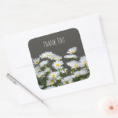 Daisies op grijs bedankt vierkante sticker (Envelop)