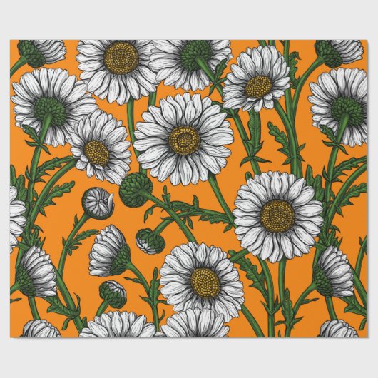 Daisies op sinaasappel cadeaupapier (Vlak)