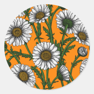 Daisies op sinaasappel ronde sticker
