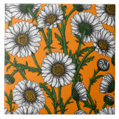 Daisies op sinaasappel tegeltje (Voorkant)