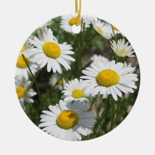 Daisies ornament (Voorkant)