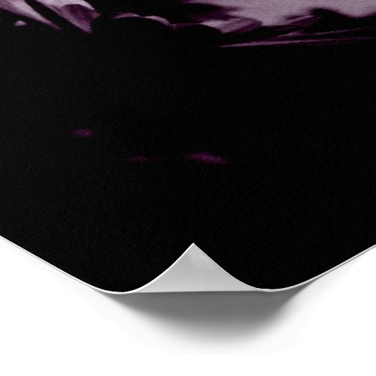 Daisies Poster (Hoek)