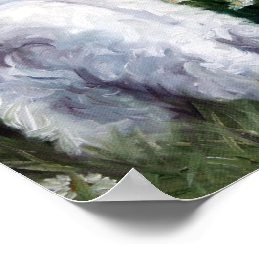 Daisies Poster (Hoek)