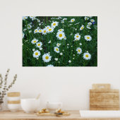 Daisies Poster (Keuken)