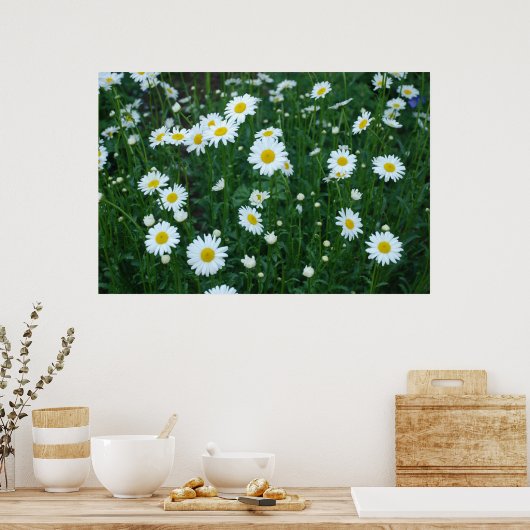 Daisies Poster (Keuken)