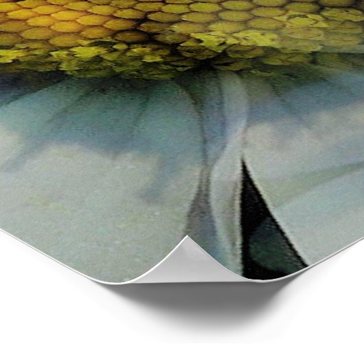 DAISIES POSTER (Hoek)