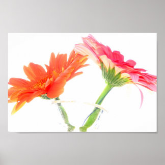 Daisies Poster