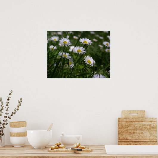 Daisies Poster (Keuken)