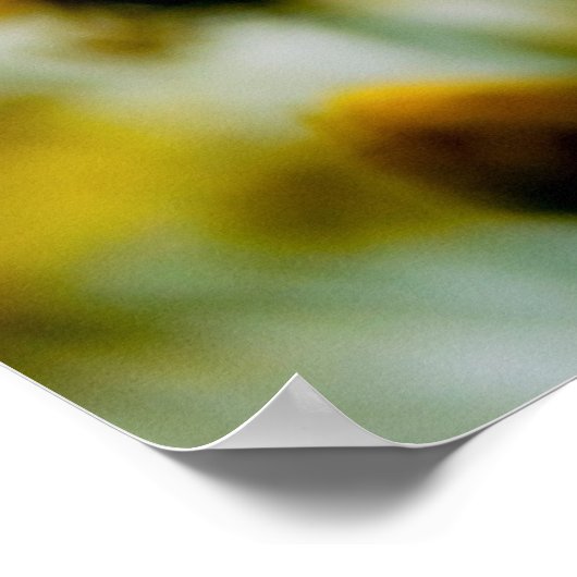 Daisies Poster (Hoek)