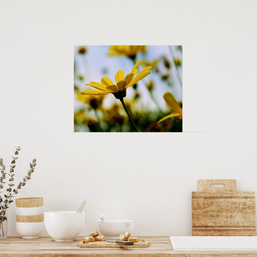 Daisies Poster (Keuken)