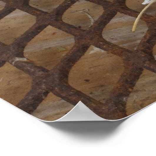 Daisies Poster (Hoek)