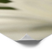 Daisies Poster (Hoek)