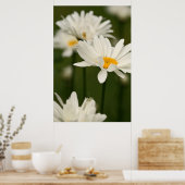 Daisies Poster (Keuken)