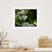 Daisies Poster (Keuken)