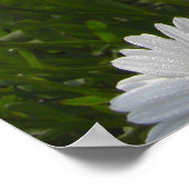 Daisies Print (Hoek)