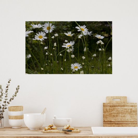 Daisies print 1 (Keuken)