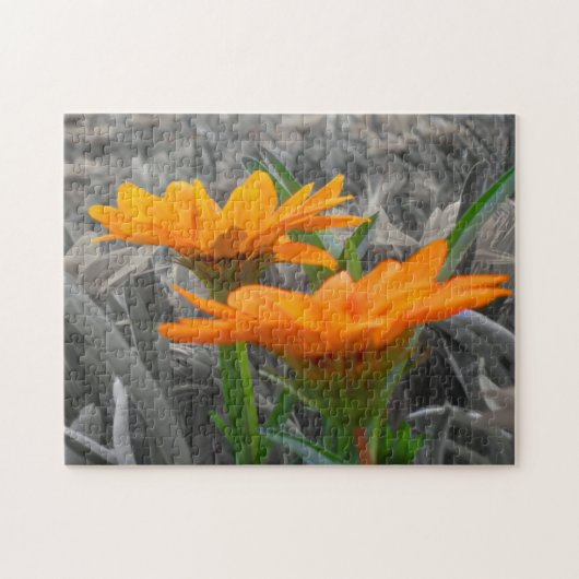 Daisies Puzzle Legpuzzel (Horizontaal)