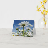 Daisies Reaching for the Sky Briefkaart (Gele Bloem)
