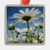 Daisies Reaching for the Sky Metalen Ornament (Voorkant)