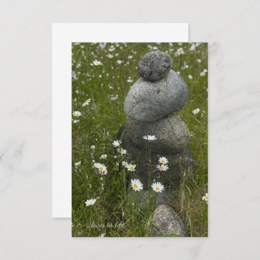 Daisies & Rock Stack Notitiekaartje (Voorkant / Achterkant)