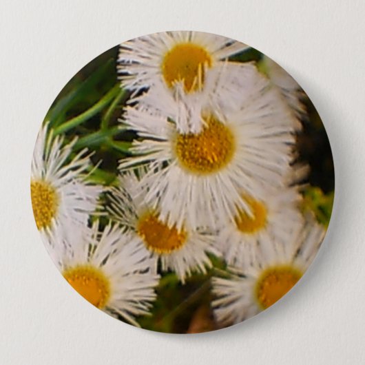 Daisies Ronde Button 4,0 Cm (Voorkant)