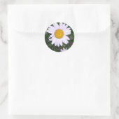 Daisies Ronde Sticker (Tas)