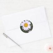 Daisies Ronde Sticker (Envelop)