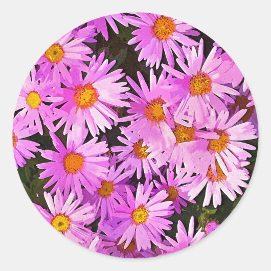 DAISIES RONDE STICKER (Voorkant)