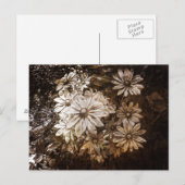 Daisies, Sepia, Grunge Briefkaart (Voorkant / Achterkant)