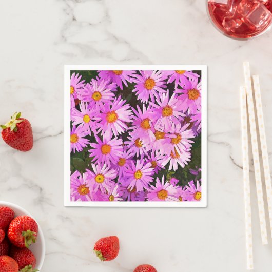 DAISIES SERVETTEN (Insitu)