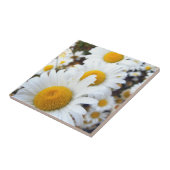 Daisies Tegeltje (Zijkant)