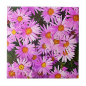 DAISIES TEGELTJE (Voorkant)