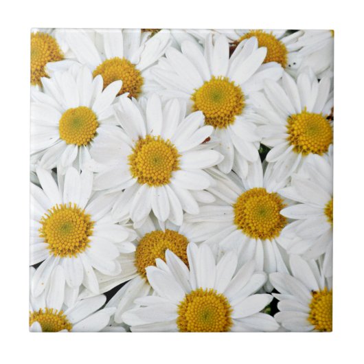 Daisies Tegeltje (Voorkant)